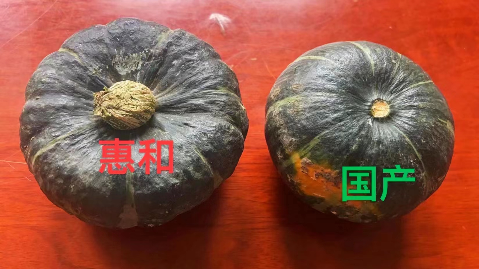 怎么分辨真假贝贝南瓜,怎么区分贝贝南瓜真假