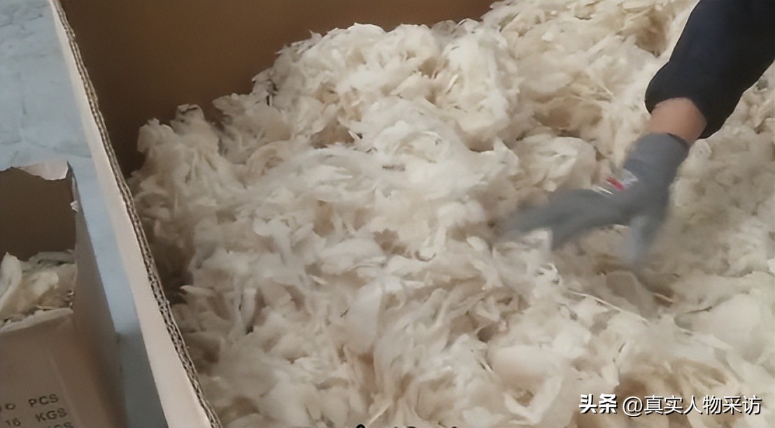 我，湖北人，不甘做保安，独闯澳洲打工，月薪从1600元逆袭到4万