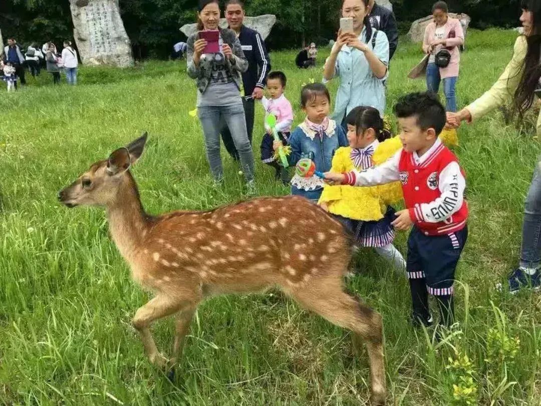 中国旅游日活动是什么,中国旅游日美好出行季