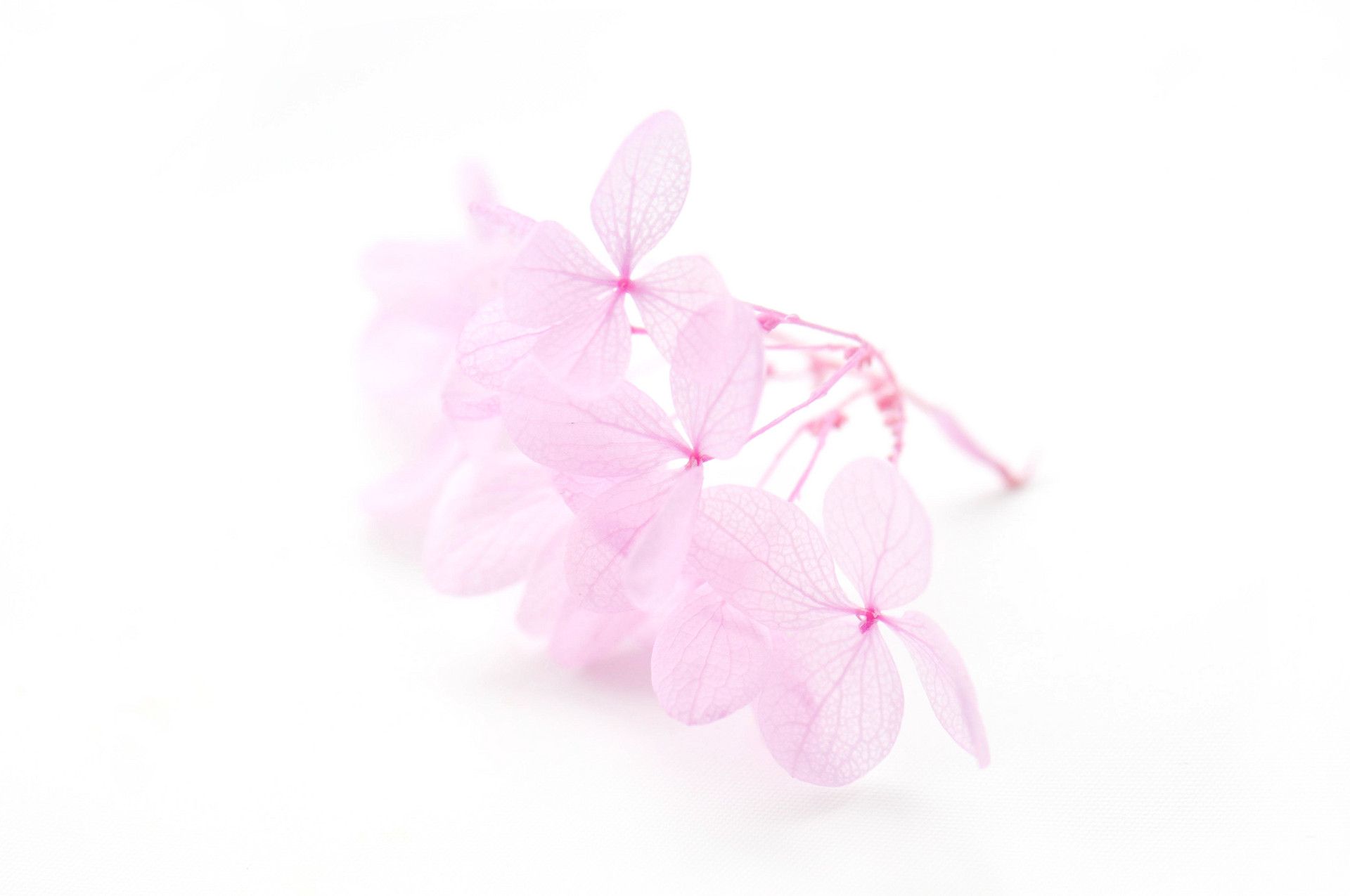 人到中年不要和兄弟姐妹走的太近,人到中年兄弟姐妹不宜多来往