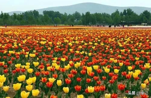 河南226家景点免门票费用,河南226家景区