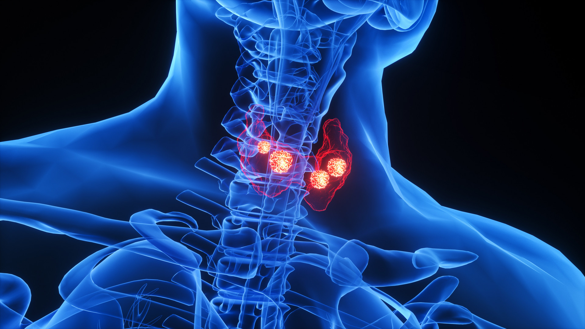 阴毛有何作用?要刮掉吗?从黑变白表示着什么?不要羞于了解