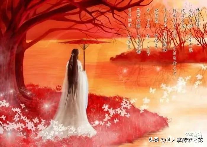 刀郎《翩翩》歌词完整解读,刀郎新歌翩翩解读