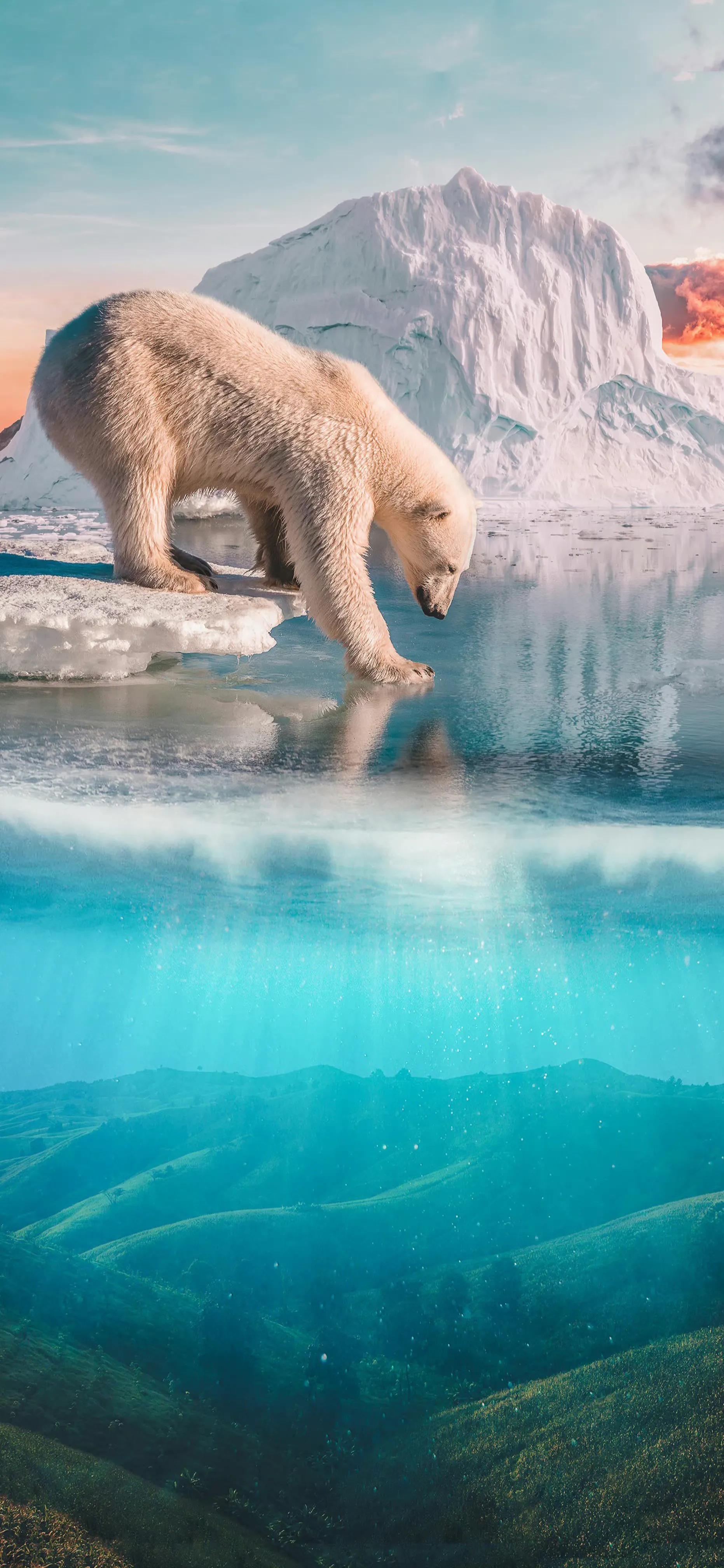 中秋节最经典的诗句四句,中秋节的诗句经典语录