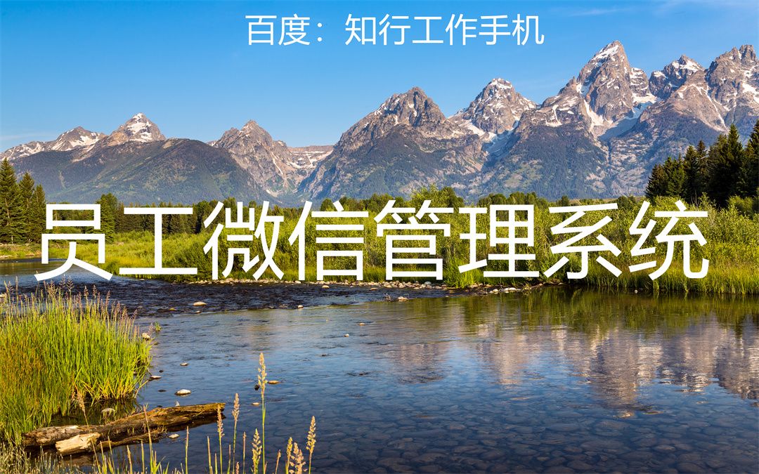 微信管理系统平台官网,微信管理平台系统大全