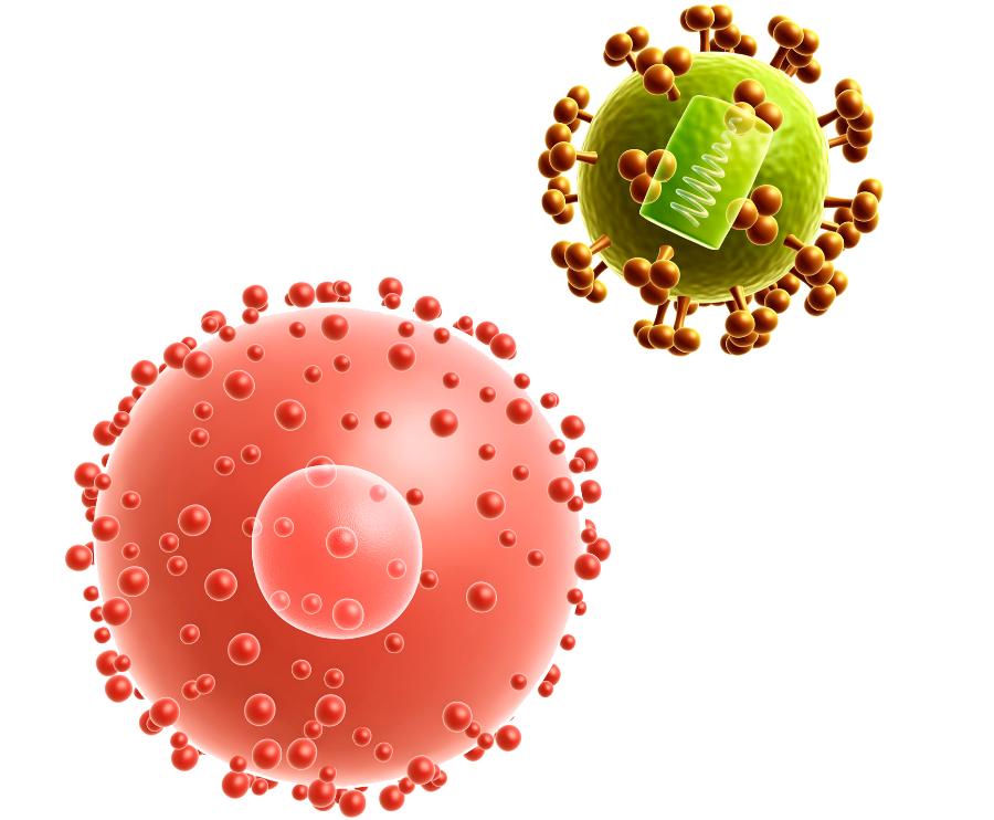 关于艾滋病你需要知道的4句话,关于艾滋病你必须知道的法律知识
