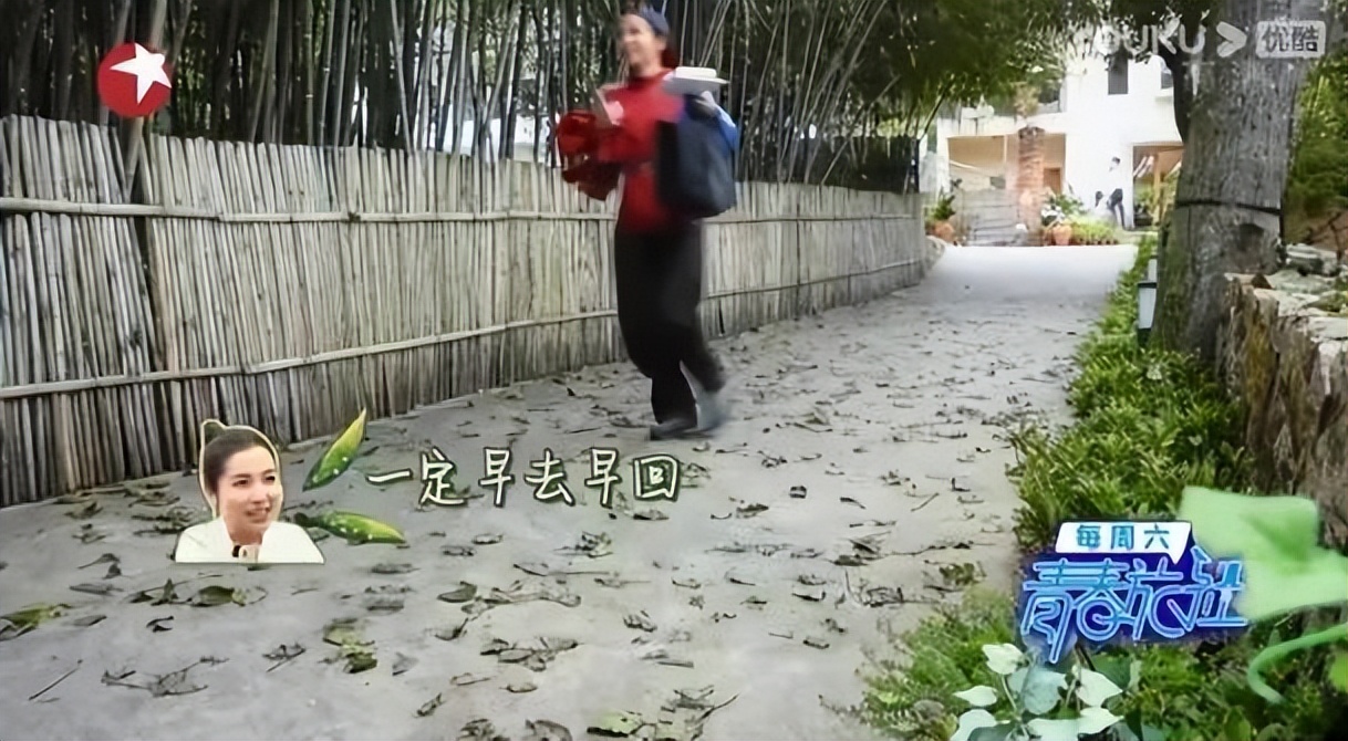 趋炎附势与指鹿为马,何穗陈伟霆被拍视频