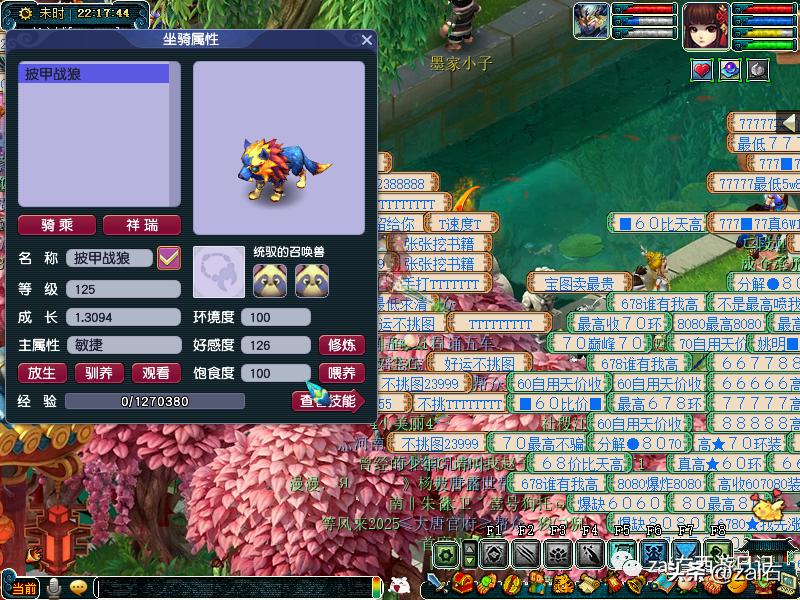 梦幻西游坐骑酒肆是固定坐骑的吗,梦幻西游骑坐骑不显示坐骑