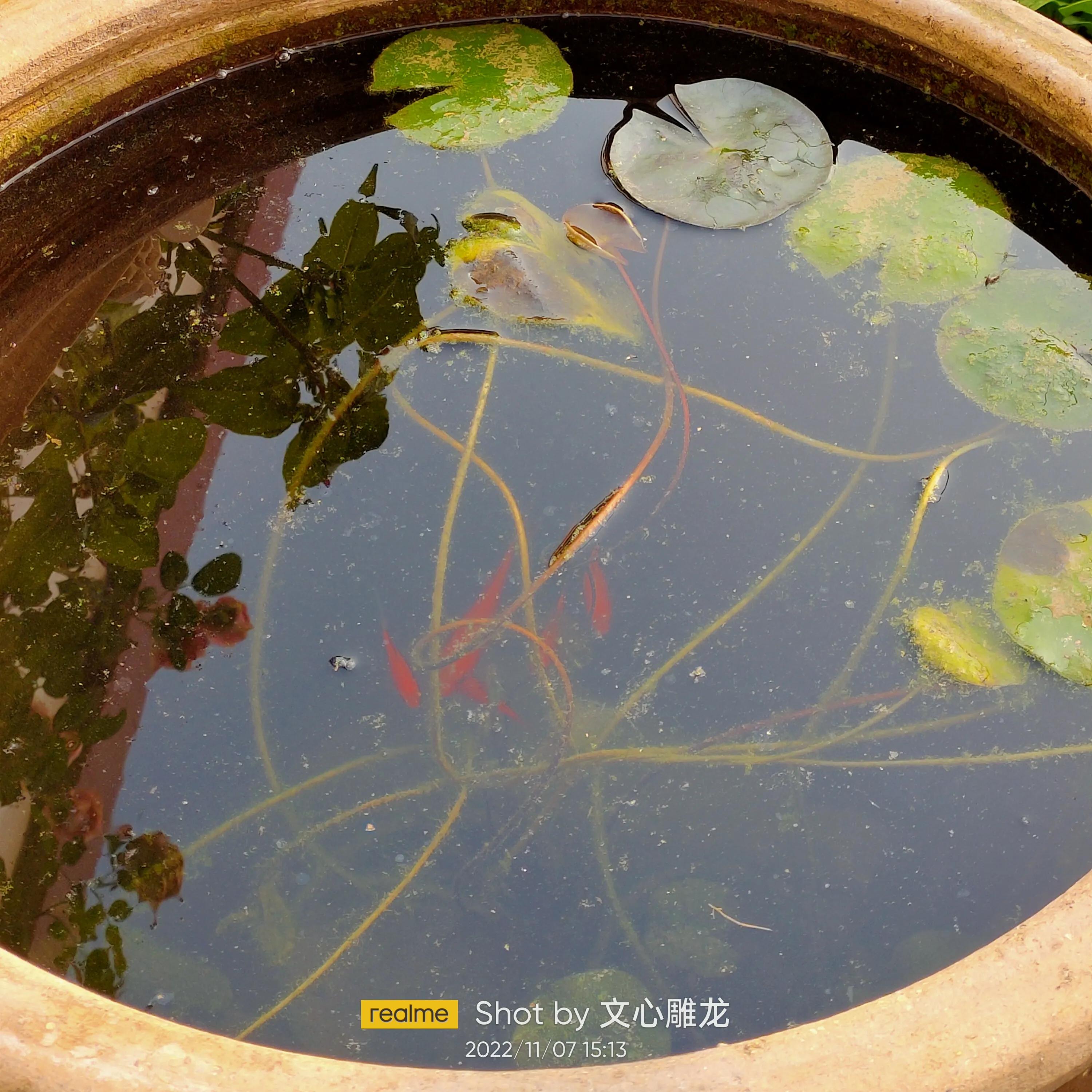 “斗酒诗百篇”一斗是多少酒？借诗文学数学,容量单位篇