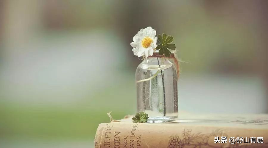 人老了要和4种人斩断缘分,人老了要和这几种人斩断缘分