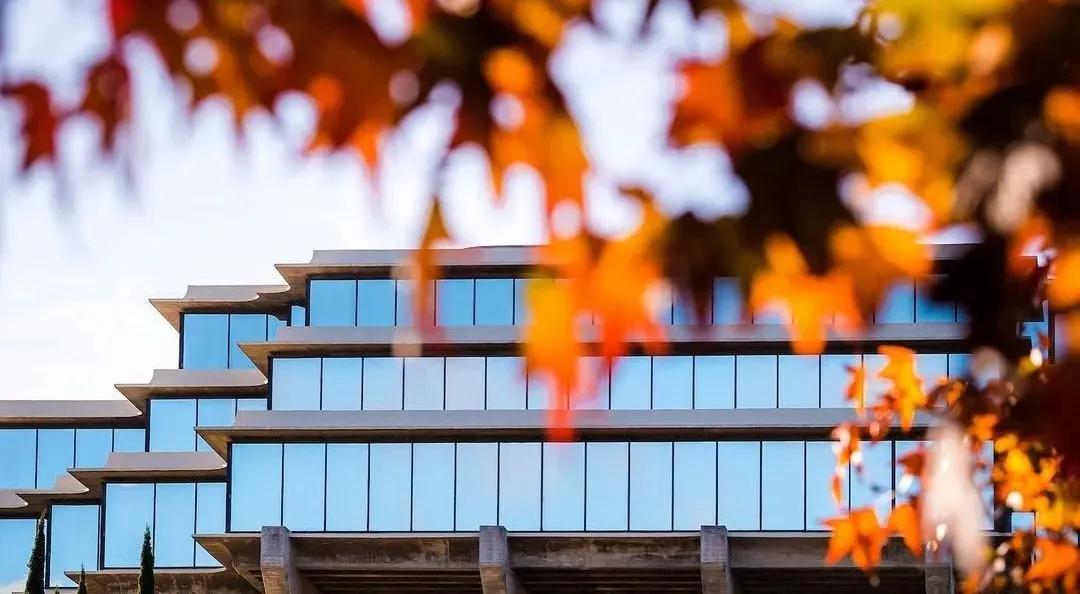 加州人最爱的UC三巨头之一，景美饭好理工牛，一般人真高攀不起