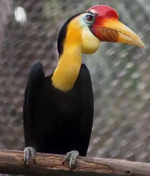 买饰品后被判刑,昆明一女子购买吊坠被判十年