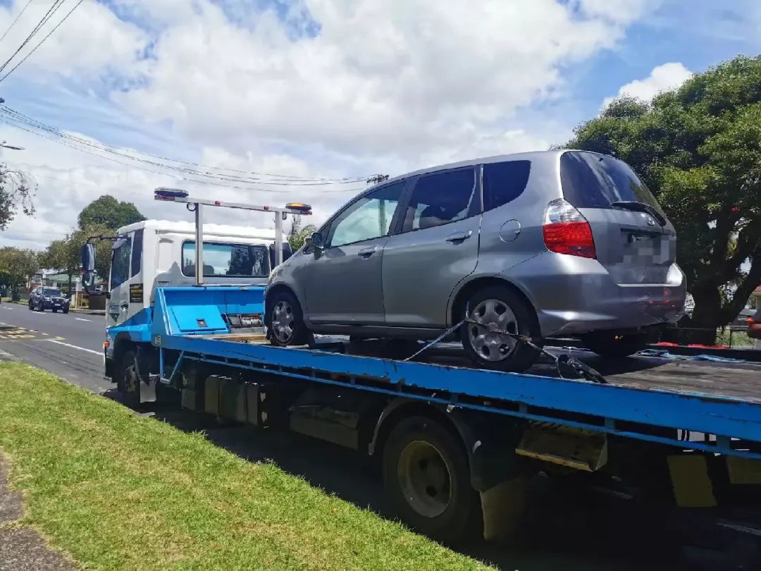 95后特特在新西兰：进厂切白菜，月入2万，感染新冠领千元补贴