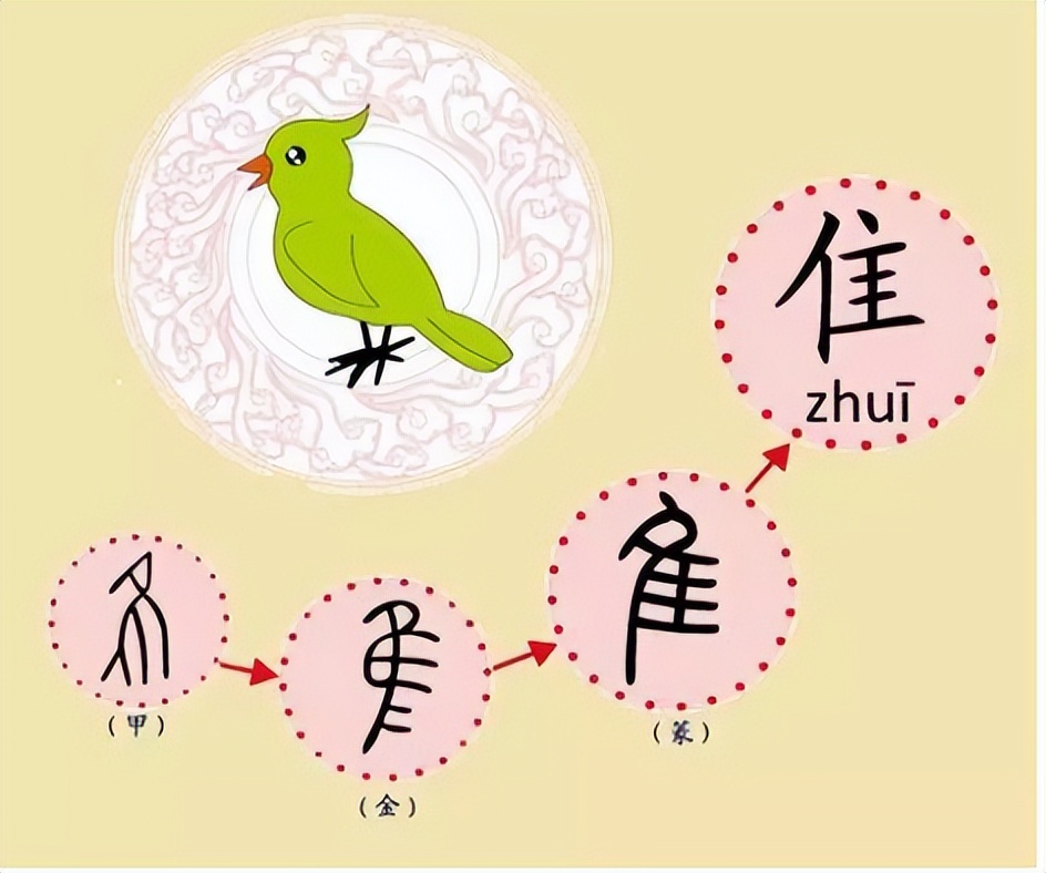 国学讲座汉字,国学讲堂汉字