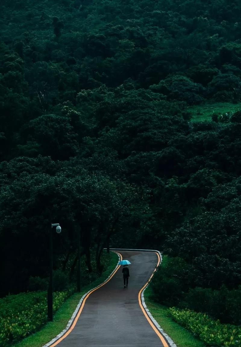 我为什么选择深圳,我为什么建议你来北上广深奋斗