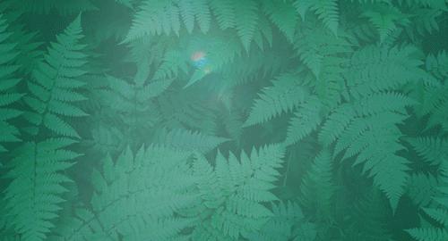 安宁健康证在哪里办理,成都从业人员健康体检健康证办理