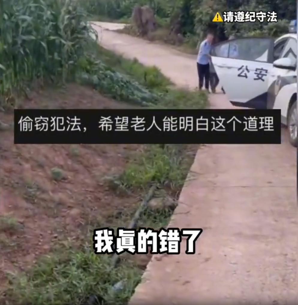 农村被人偷菜了报警怎么处理,老太太多次偷菜能报警吗