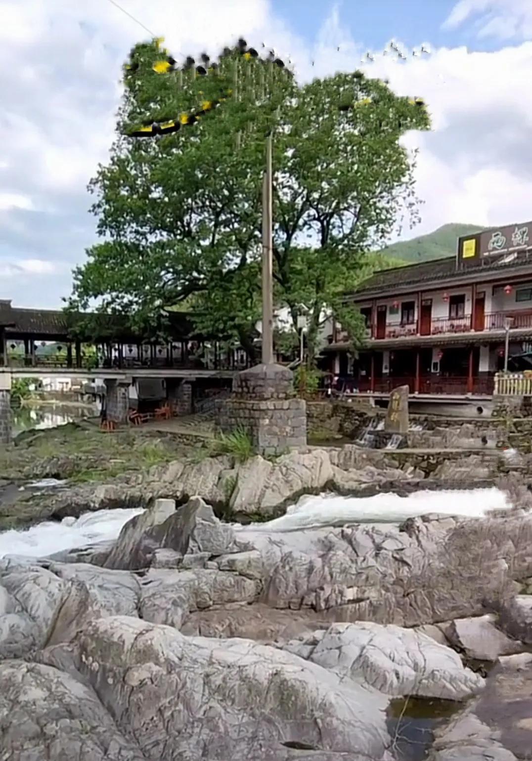 防控开放后有什么生意好做,防控全部放开之后什么行业将崛起