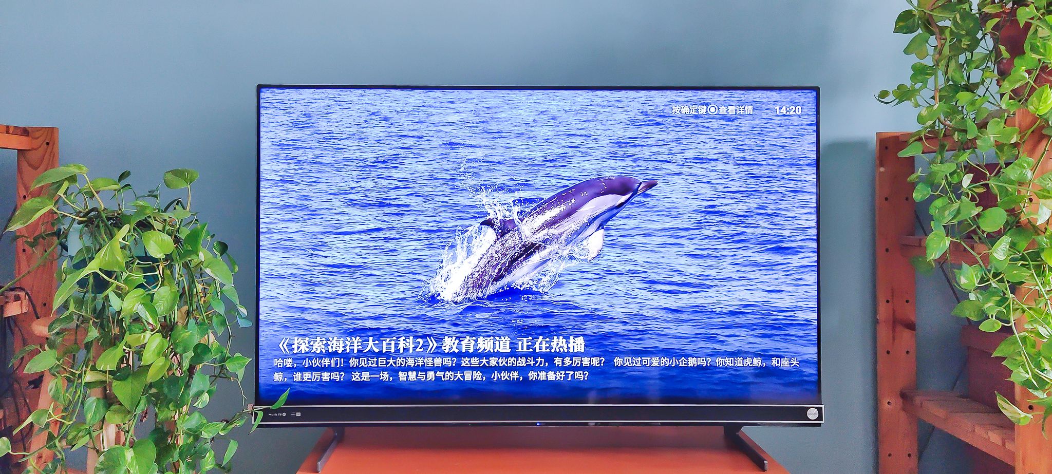 海信vidaa电视k歌功能,海信电视k歌测评