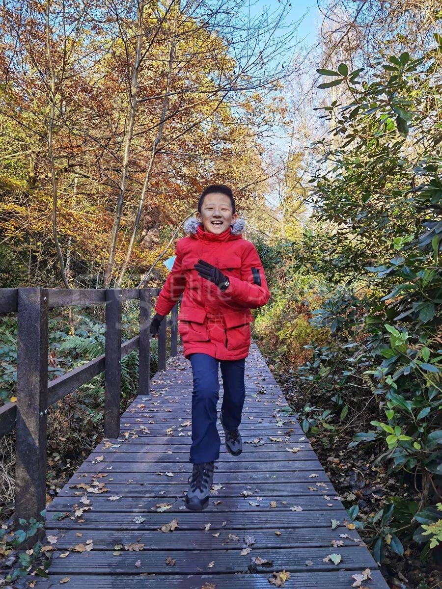 鍒嗘瀽瑙ｈ浼婇】鍏鍊煎緱鍊熼壌涔嬪,浼婇】鍏褰曞彇鏉′欢