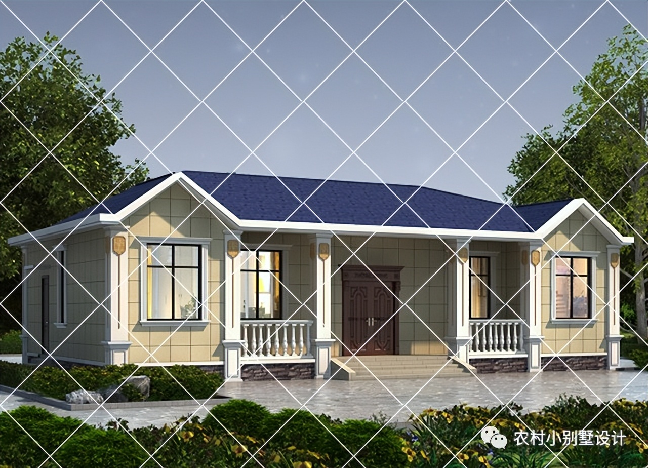 一层半层小别墅新款农村自建房,农村自建房一层别墅设计最新款