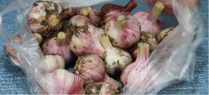 农村奶奶教糖醋蒜方法,腌糖蒜老方法