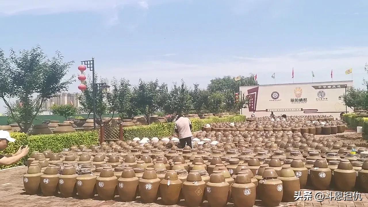 石家庄丽阳硒醋石家庄有卖的吗,河北丽阳晒醋