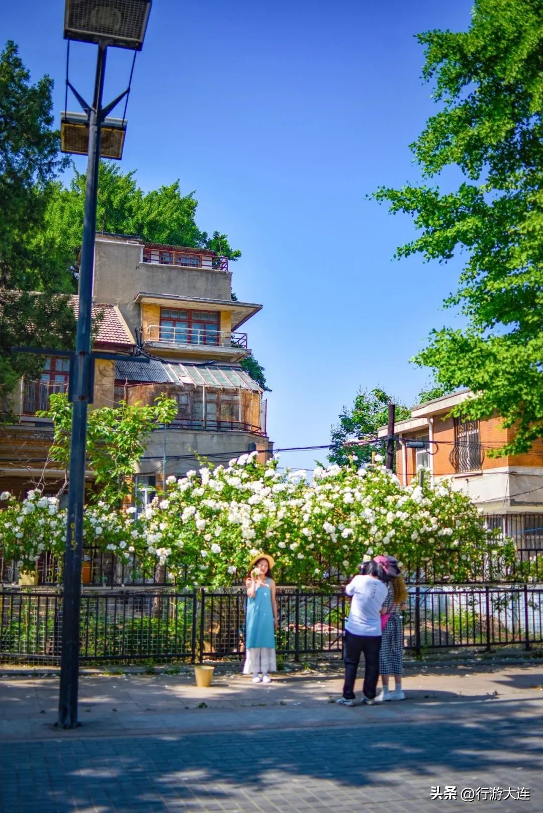 赛道上的美景,赛道美景
