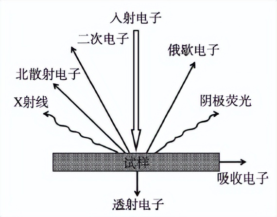扫描电镜SEM分析流程,扫描电镜sem的缺陷及解决途径