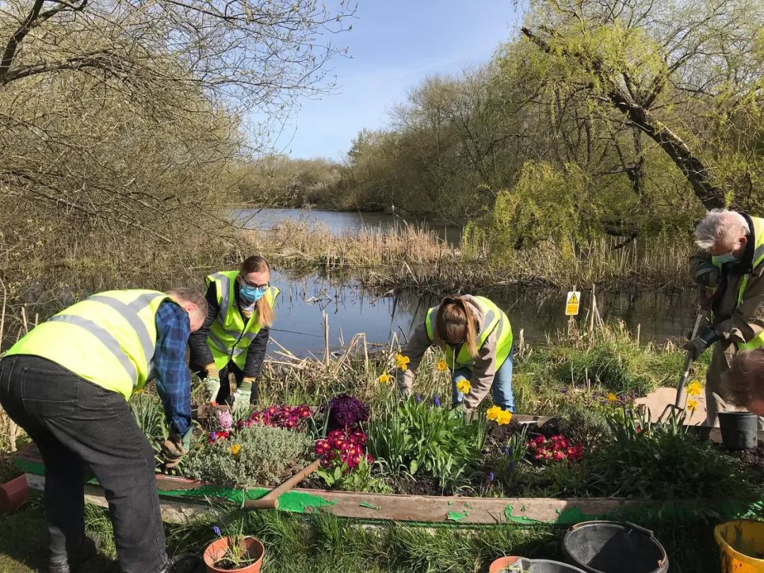 用头发可以清理石油爆上热搜!秃头网友狂喜:哈哈天生我材必有用