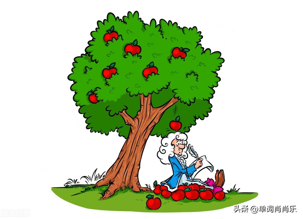 有言有味说单词,有言有味说单词视频