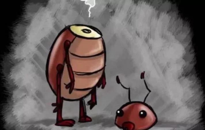 盘点十大难以杀死的动物,被砍了头的鸡还能活多久