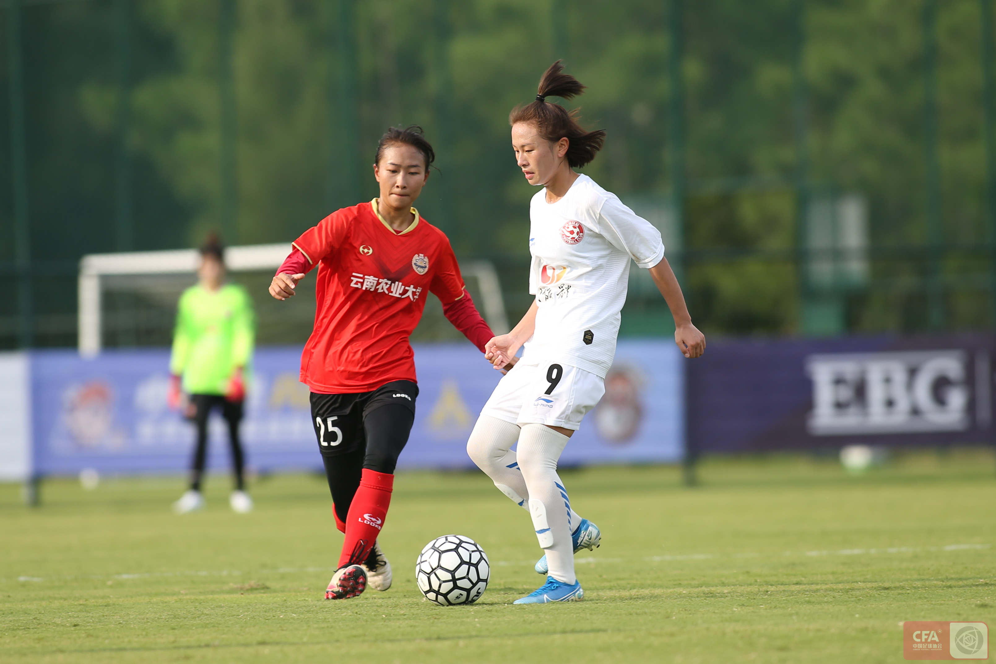 足球集装箱,足球球场集装箱