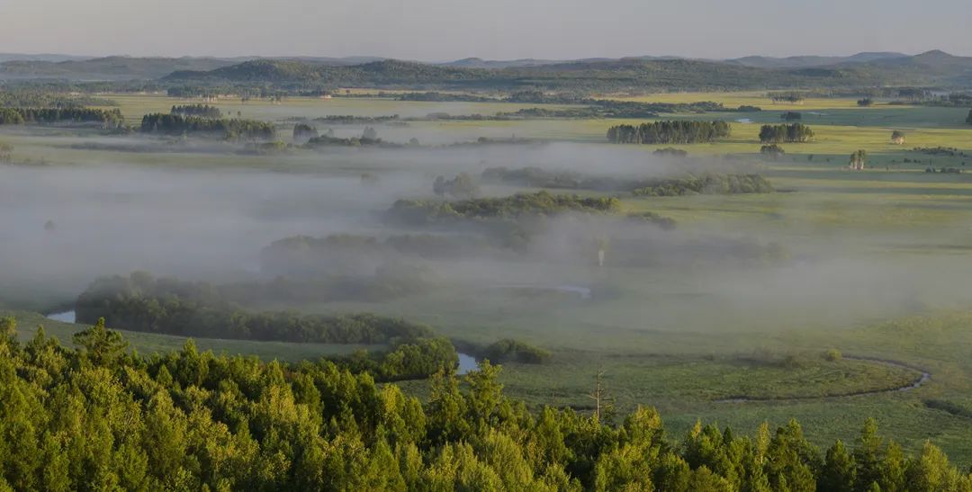 湿地可以开发什么旅游项目,黑龙江旅游必去十大湿地排名