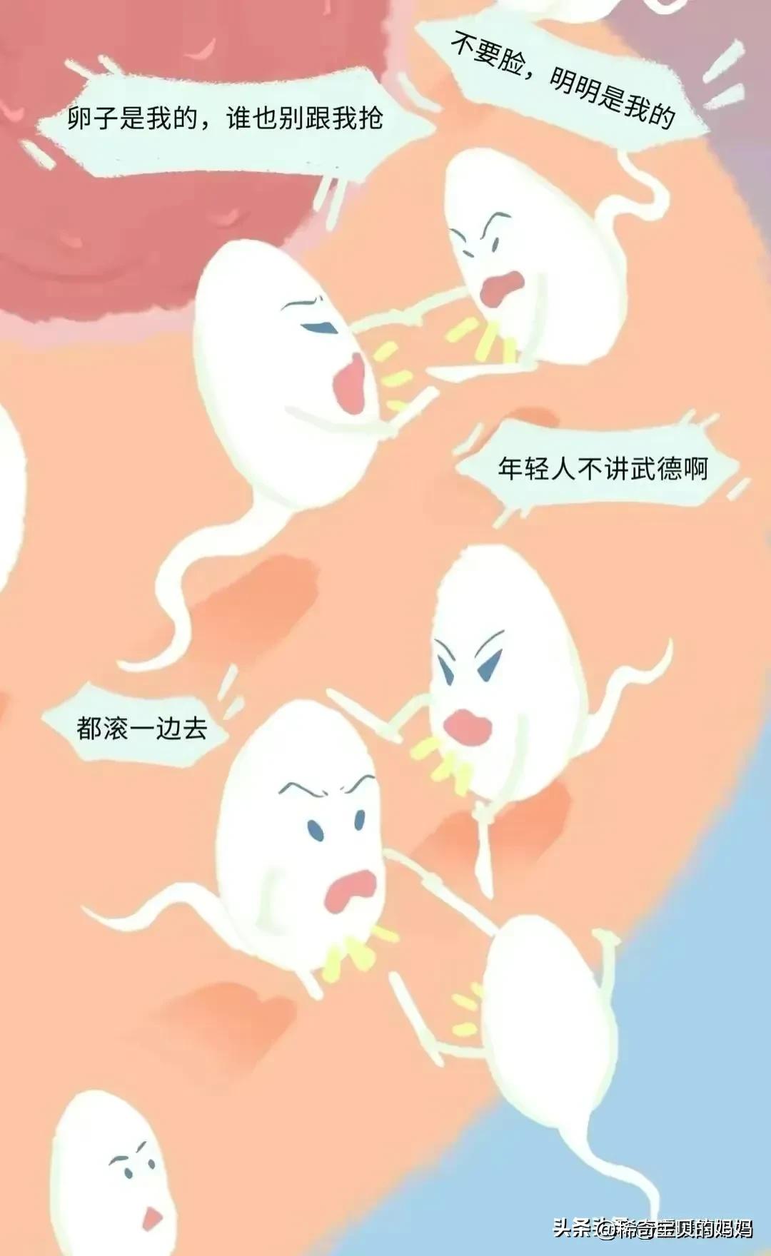 “小蝌蚪＂进入女性体内的全过程