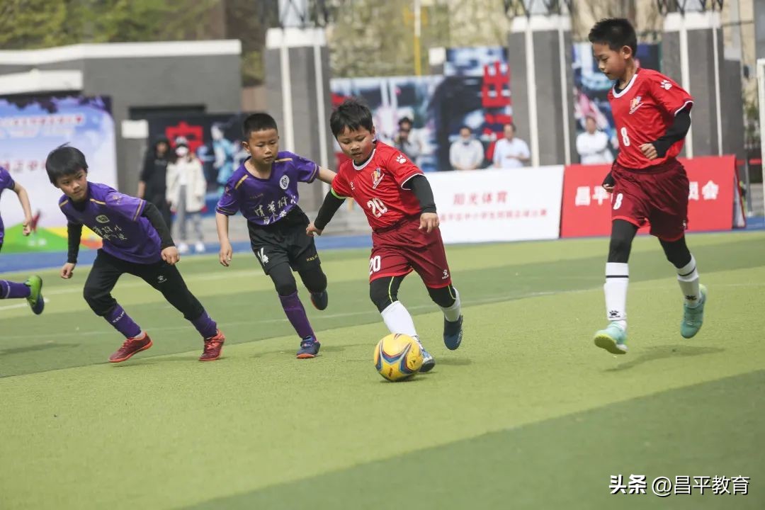 赋能于师丨城区学区在行动!