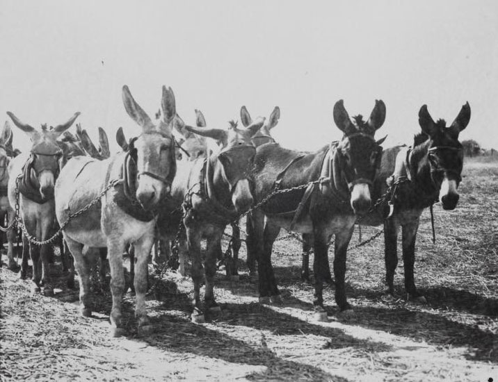 <html>
<head><title>502BadGateway</title></head>
<body>
<center><h1>502BadGateway</h1></center>
<hr><center>nginx</center>
</body>
</html>
<!--apaddingtodisableMSIEandChromefriendlyerrorpage-->
<!--apaddingtodisableMSIEandChromefriendlyerrorpage-->
<!--apaddingtodisableMSIEandChromefriendlyerrorpage-->
<!--apaddingtodisableMSIEandChromefriendlyerrorpage-->
<!--apaddingtodisableMSIEandChromefriendlyerrorpage-->
<!--apaddingtodisableMSIEandChromefriendlyerrorpage-->
