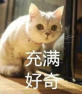 私部毛囊可以植发吗,腋窝的毛可以植发吗