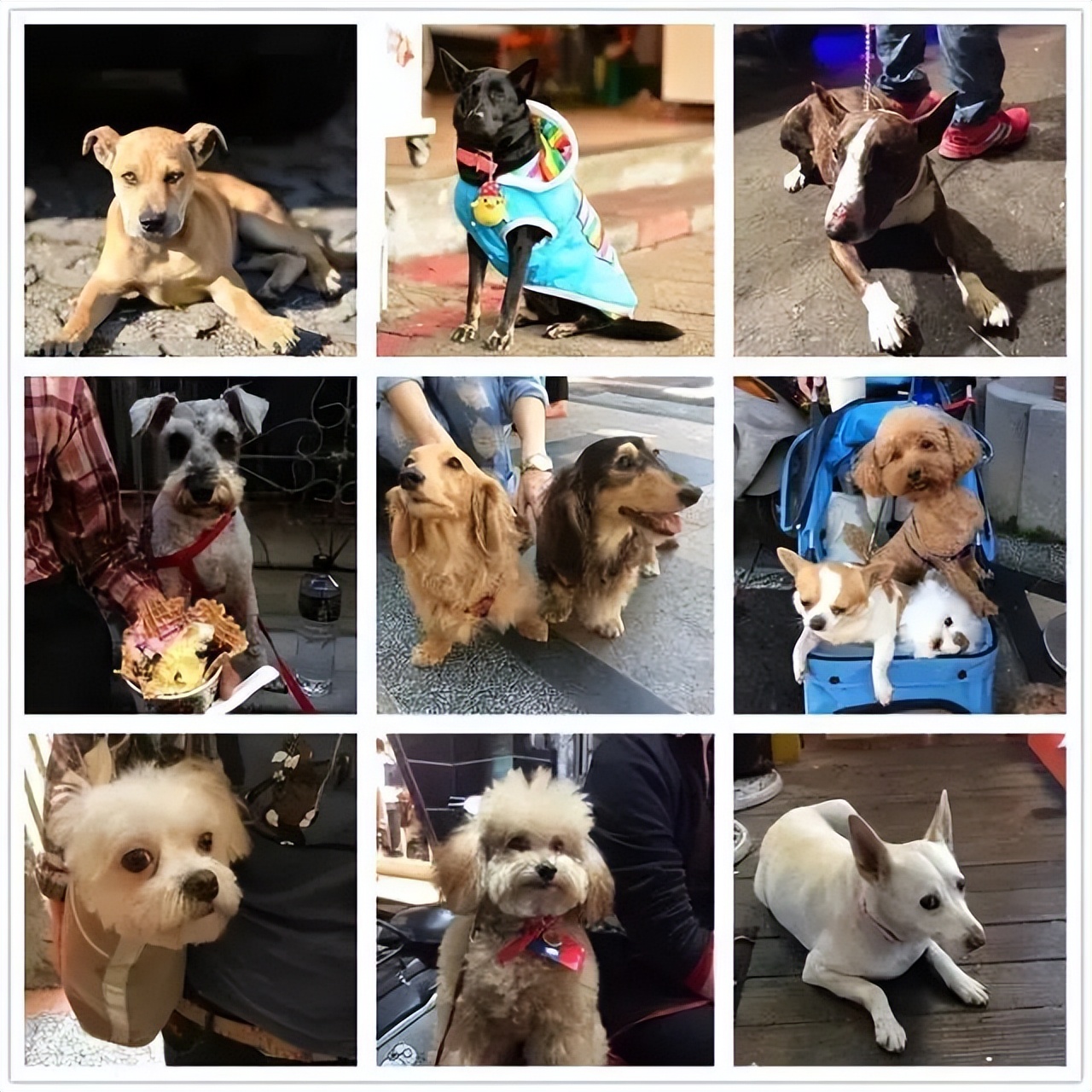 我的旅游日记2015游台湾之四,台湾人旅游祖国大好河山