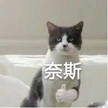 什么是增额终身寿险，跟年金险相比买哪种更好？