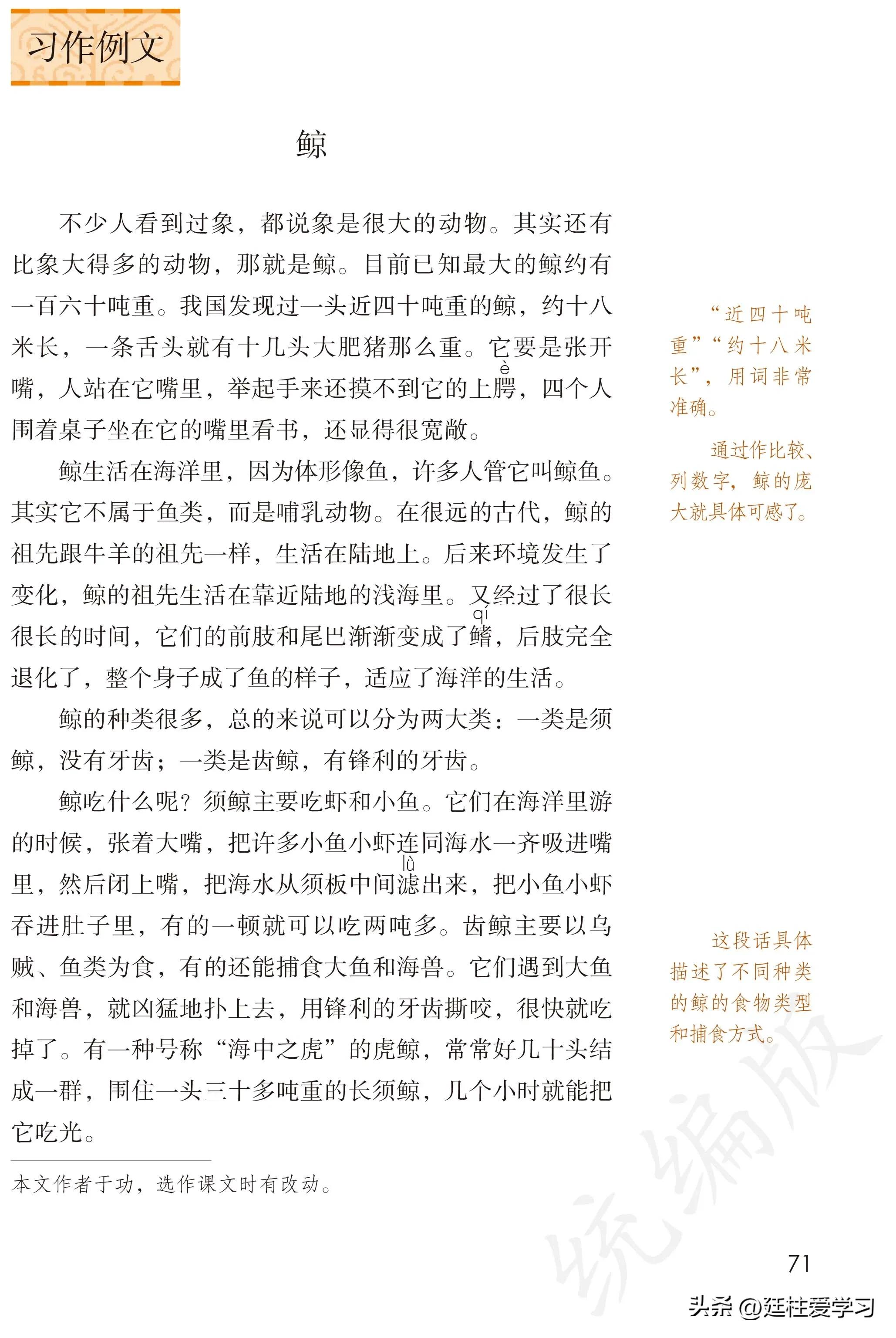 小学语文五年级上册22课,小学语文五年级上册知识点