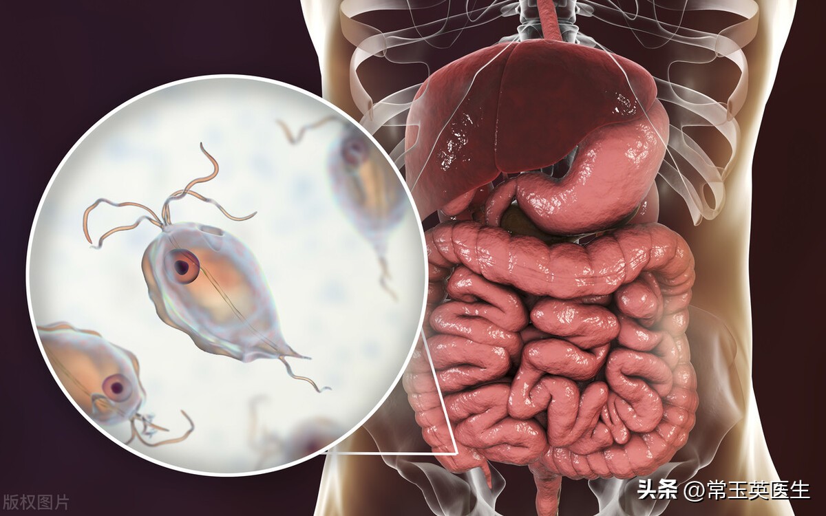 什么叫肠道菌群紊乱,什么是肠道菌群失调