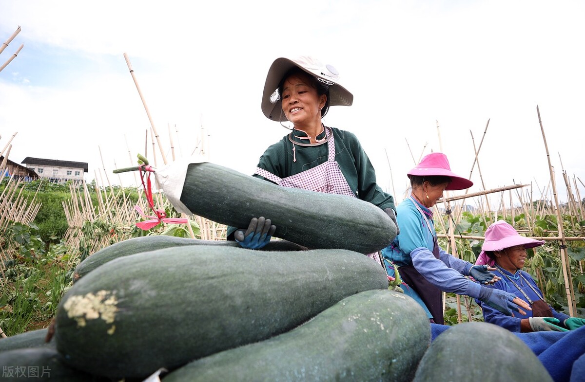 壬寅杂说——“考公热”真的是因为公务员的收入高?