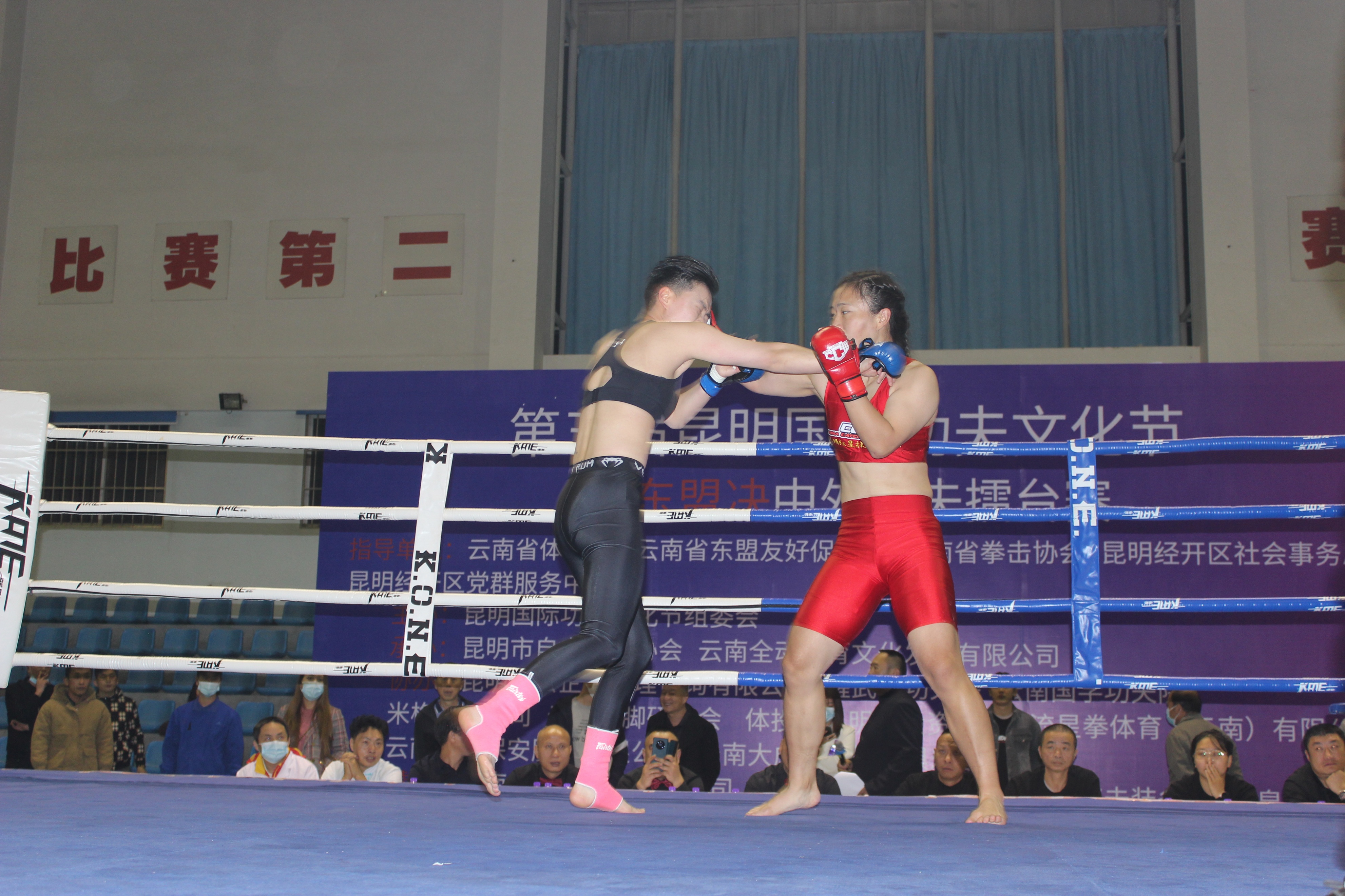 昆明国际文化节,中国昆明国际文化节