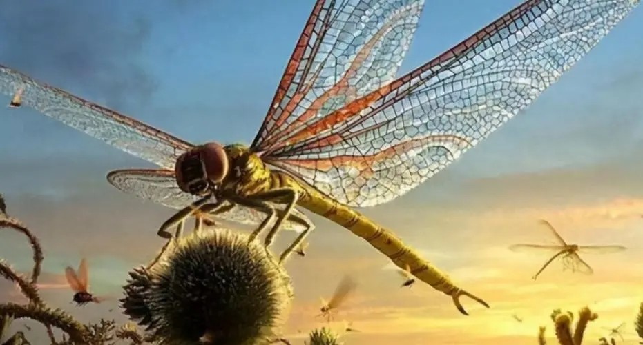 一颗来自地球的螺丝钉,发现外星人遗留的螺丝钉