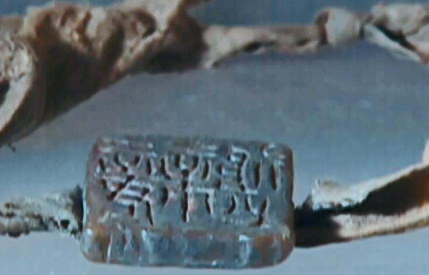 日本人索要辛追夫人头发的目的,为什么日本想要辛追夫人