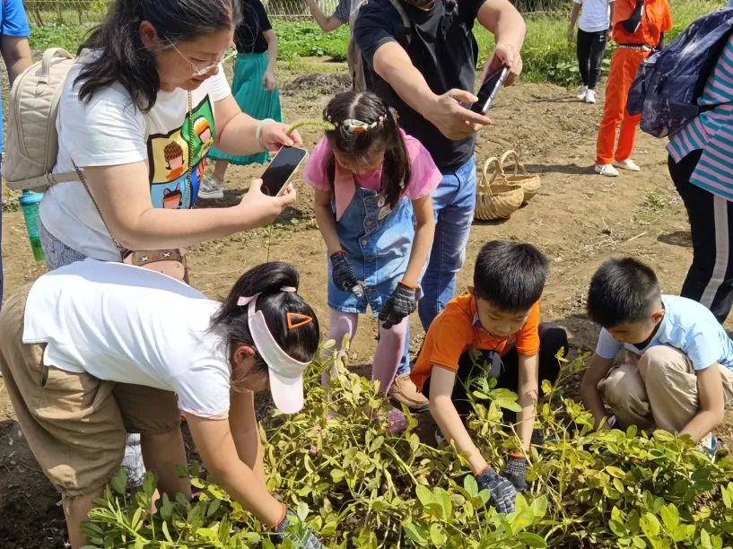 双减政策下少先队实践教育案例,双减政策下小学德育工作实践