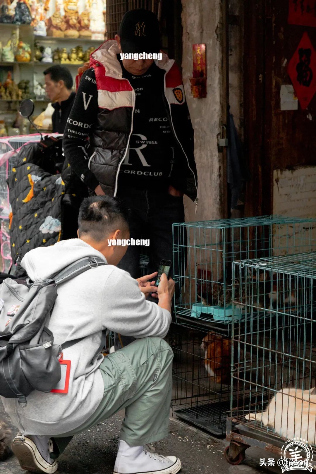 广州清平市场哪家好,清平市场攻略