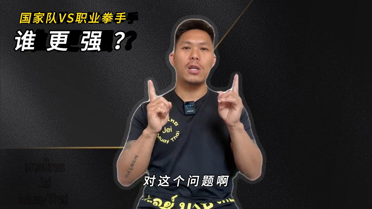 体制内拳手和职业拳手,体制内拳击和职业拳击技术区别