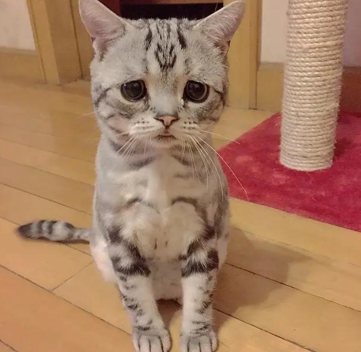 闲鱼我是卖家不发货会怎么样,闲鱼我是卖家不发货会怎样